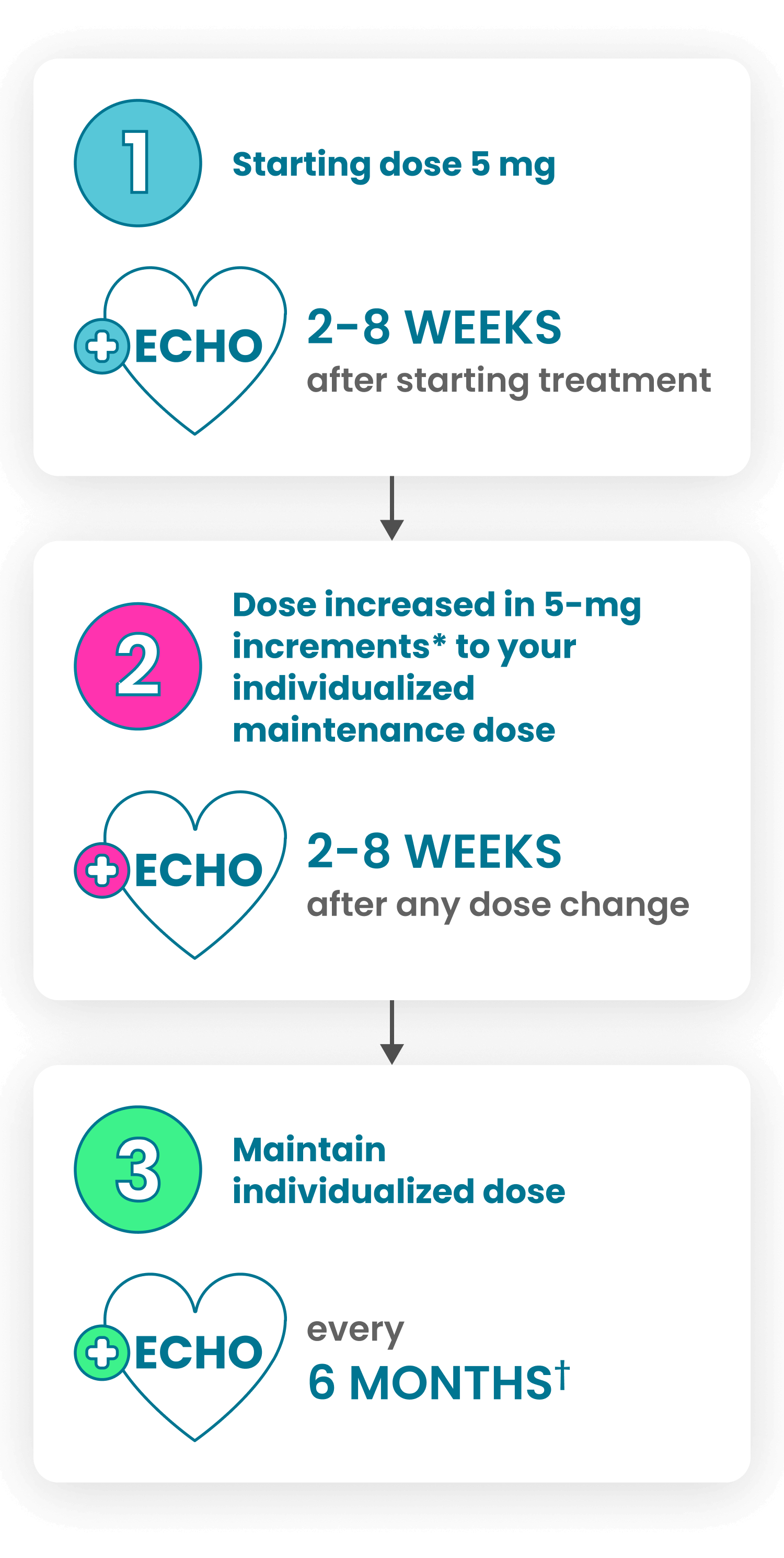 Step One: Starting dose five milligrams plus echo two to eight weeks after starting treatment; Step Two: Dose increased in five milligram increments to your individualized maintenance dose plus echo two to eight weeks after any dose change; Step Three: Maintain individualized dose plus echo every six months. Depending on results of your echocardiogram, you may need to have follow-up every three months.